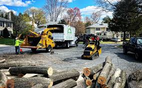 Best Emergency Tree Removal  in Delhi Hills, OH