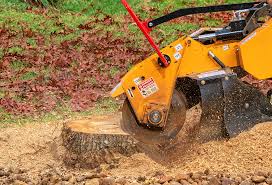 Best Lot and Land Clearing  in Delhi Hills, OH